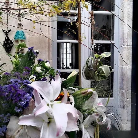 La Belle Amarre-bed And Breakfast-maison D'hotes Penzion 4*