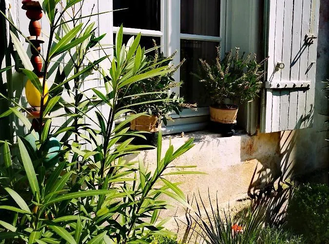 La Belle Amarre-bed And Breakfast-maison D'hotes La Rochelle (Charente-Maritime)