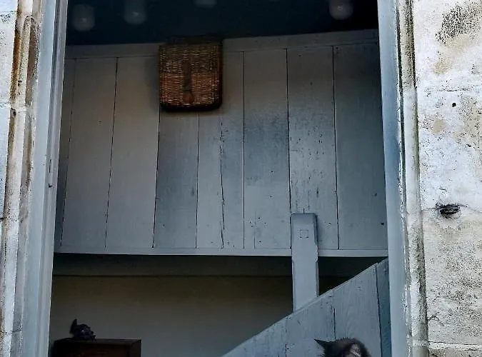 La Belle Amarre-bed And Breakfast-maison D'hotes